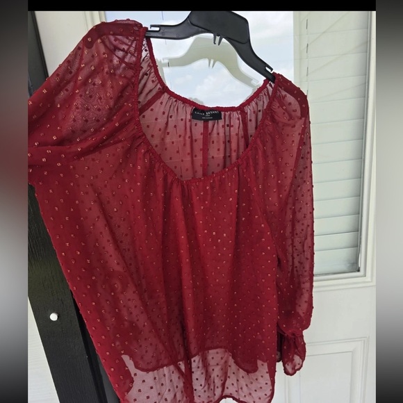 Lane Bryant Sheer  Blouse Sz 14/16 Womens Long Sleeve Textured See Thru Y2k - Picture 10 of 11